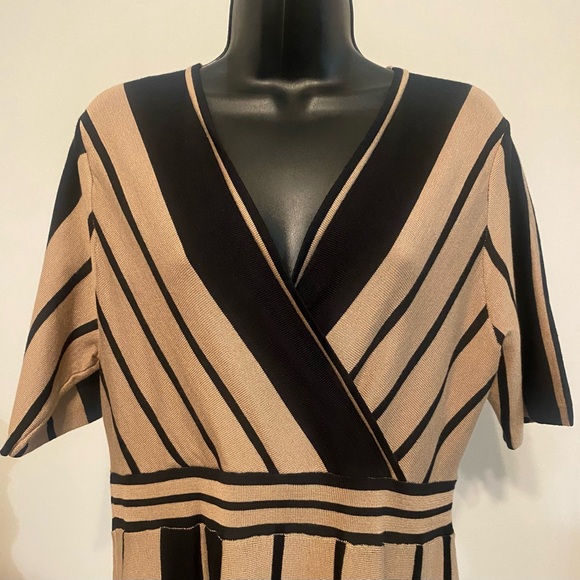 Nina Leonard Surplice V-Neck Knit Fit and Flare Tan/Blk Striped Dress in Size: L - Picture 3 of 11
